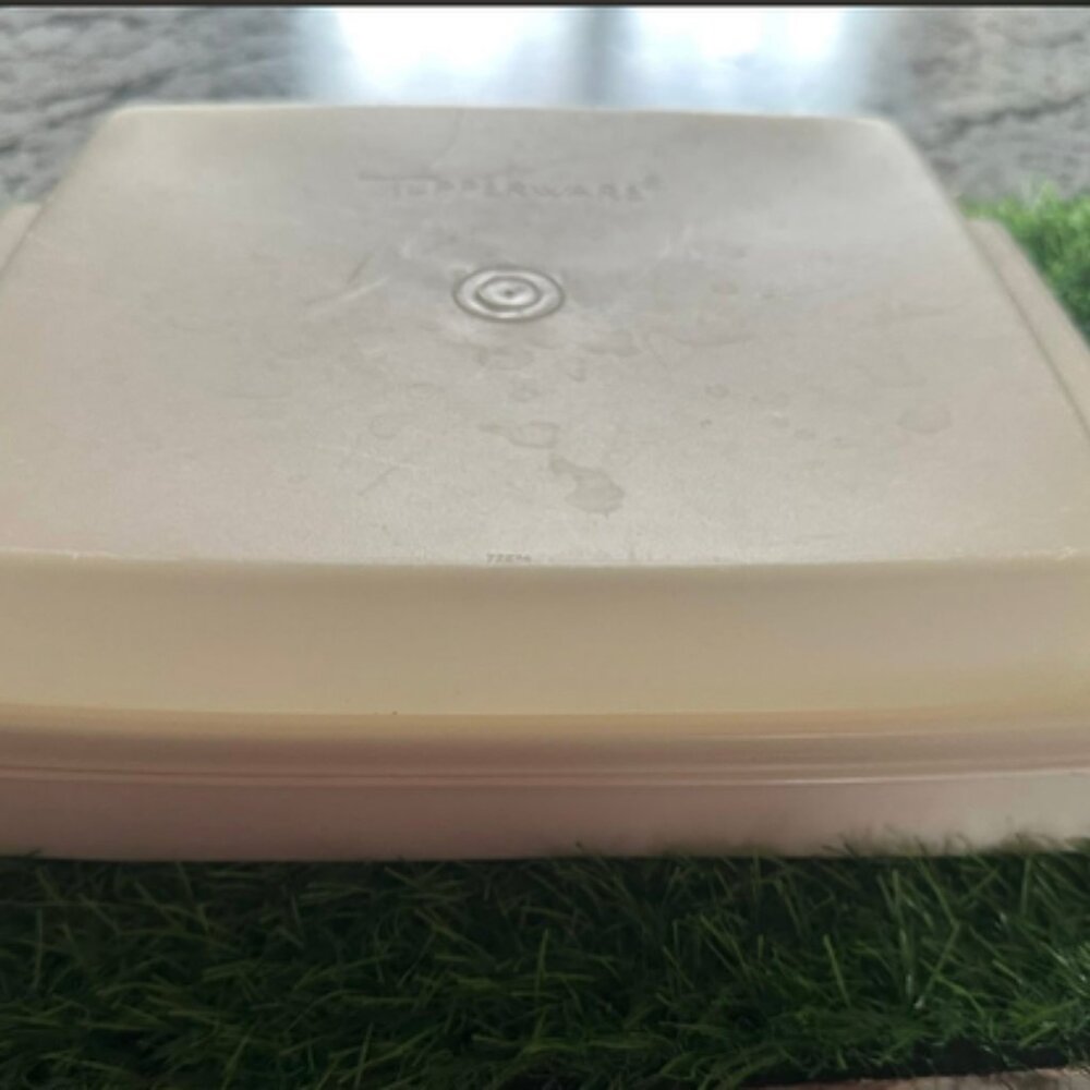 Vintage Tupperware Deviled Egg Keeper